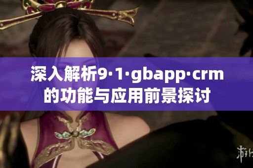 深入解析9·1·gbapp·crm的功能與應(yīng)用前景探討