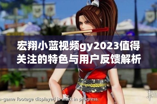 宏翔小藍視頻gy2023值得關(guān)注的特色與用戶反饋解析