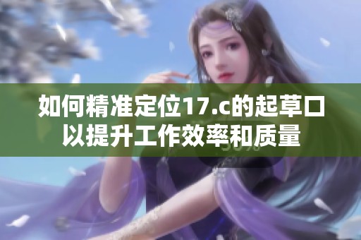 如何精準(zhǔn)定位17.c的起草口以提升工作效率和質(zhì)量